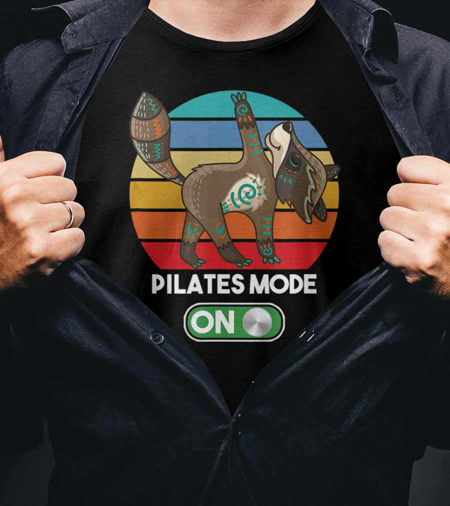 Pilates Mode On Cute Zen Raccoon Mandala Peace Mindfulness Yoga T-Shirt
