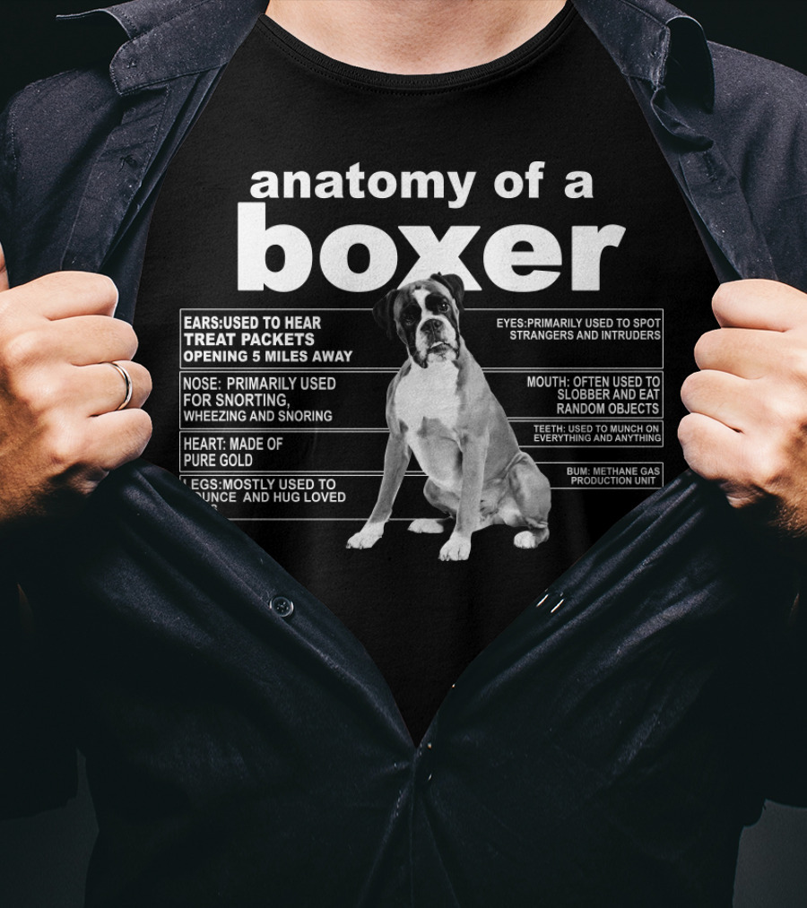 Anatomy Of A Boxer Ears Hear Treats Nose Snort Heart Gold Eyes Spot Mouth Slobber Feet Munch Bum Methane Production T-Shirt