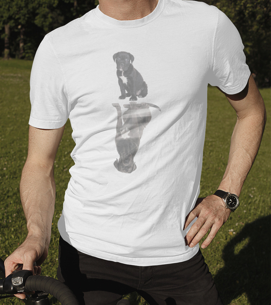 Cane Corso Reflection In Water T-Shirt
