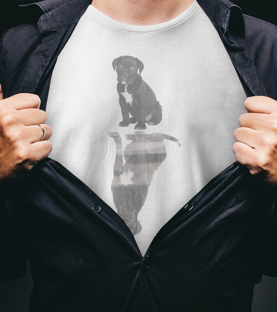 Cane Corso Reflection In Water T-Shirt