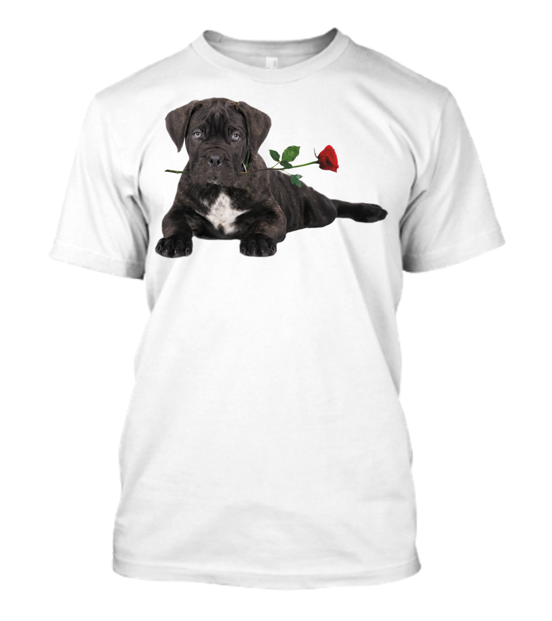 Cane Corso Puppy With A Red Rose In Mouth T-Shirt