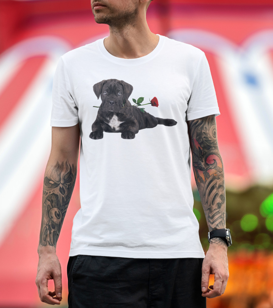 Cane Corso Puppy With A Red Rose In Mouth T-Shirt