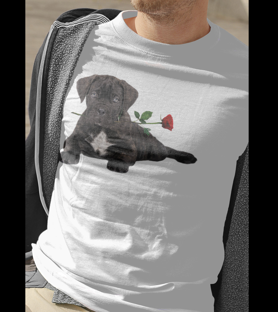 Cane Corso Puppy With A Red Rose In Mouth T-Shirt