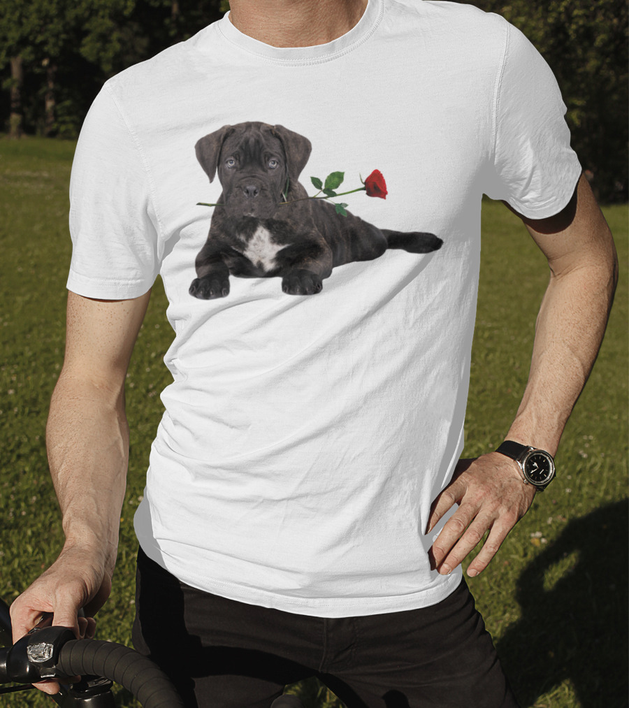 Cane Corso Puppy With A Red Rose In Mouth T-Shirt