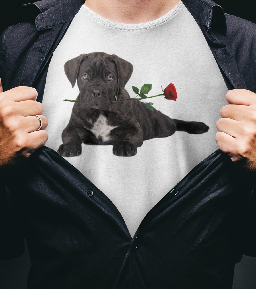 Cane Corso Puppy With A Red Rose In Mouth T-Shirt