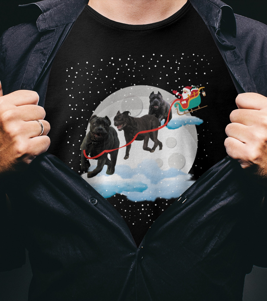 Santa Rides Cane Corso Sleigh With Full Moon And Snowflakes T-Shirt