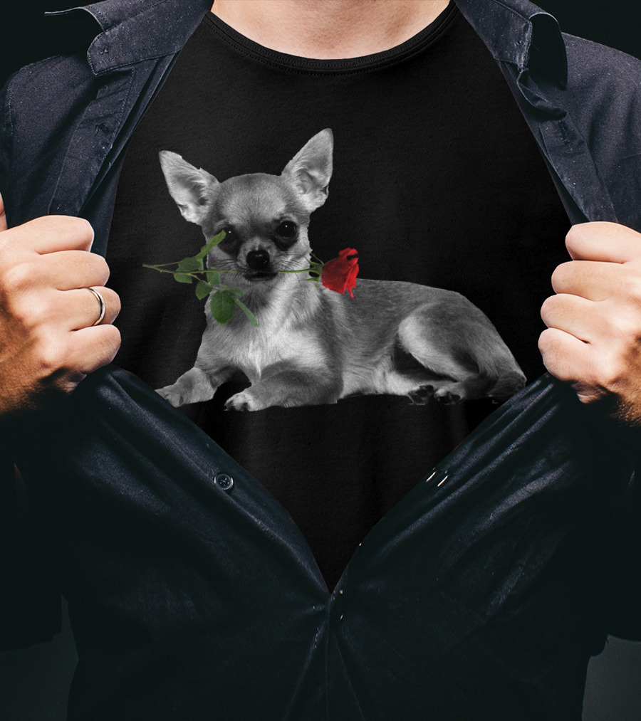 Chihuahua Holding A Red Rose In Mouth T-Shirt