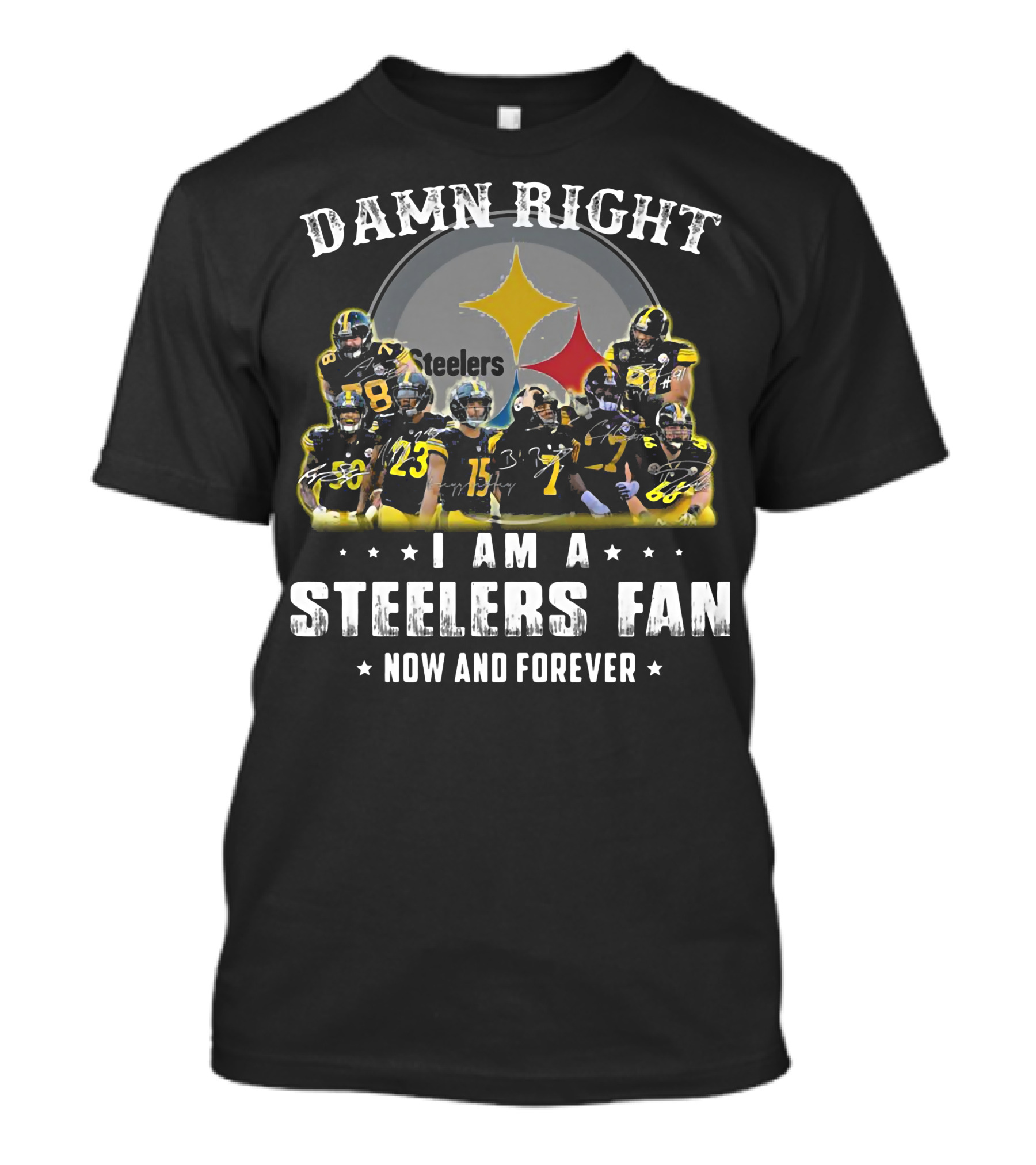 Damn Right Steelers Fan Now And Forever Players T-Shirt