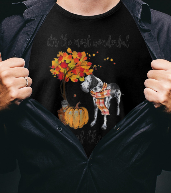 It's The Most Wonderful Time Of The Year Great Dane Autumn Pumpkin T-Shirt