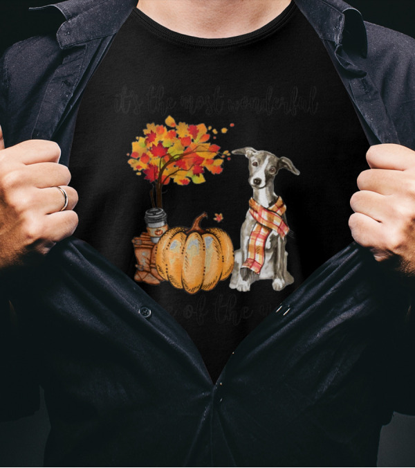 It's The Most Wonderful Time Of The Year Greyhound Autumn Pumpkin Leaves Scarf Coffee T-Shirt