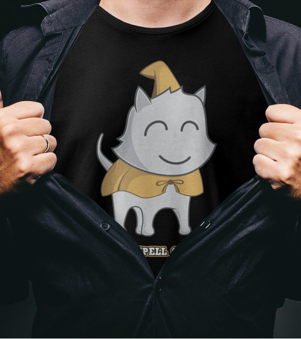 I Put A Spell On Meow Cat Witch Halloween T-Shirt