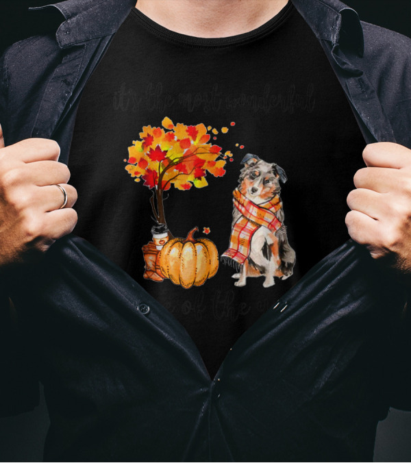 It's The Most Wonderful Time Of The Year Aussie Autumn Dog With Leaves And Pumpkin T-Shirt