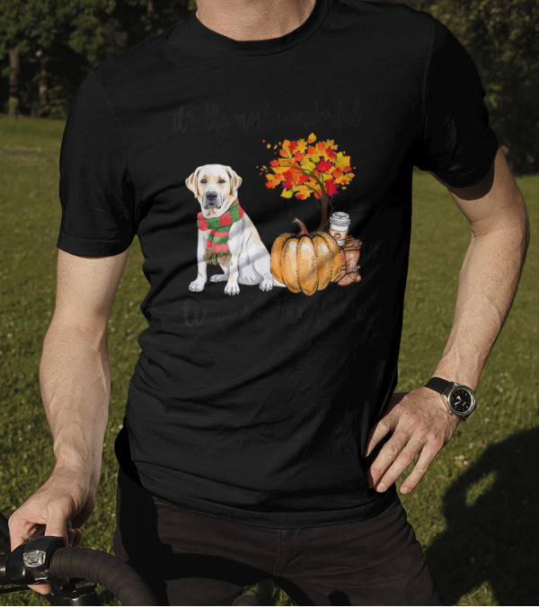 Labrador Autumn Fall Most Wonderful Time Maple Pumpkin Cozy Season T-Shirt