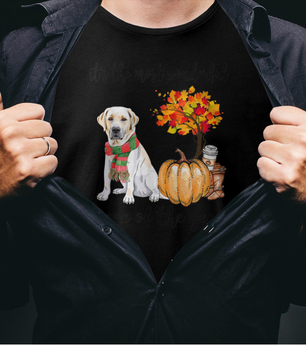 Labrador Autumn Fall Most Wonderful Time Maple Pumpkin Cozy Season T-Shirt