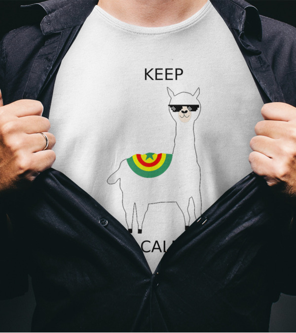 KEEP CALM LLAMA SUNGLASSES RAINBOW STAR T-Shirt