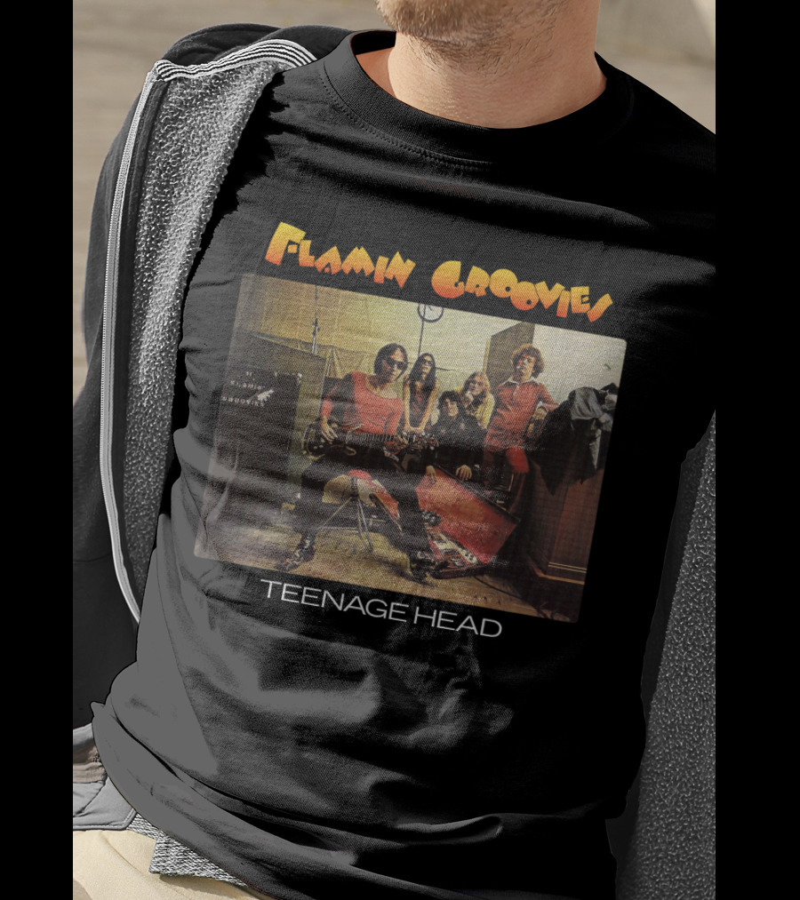 Flamin Groovies Teenage Head T-Shirt
