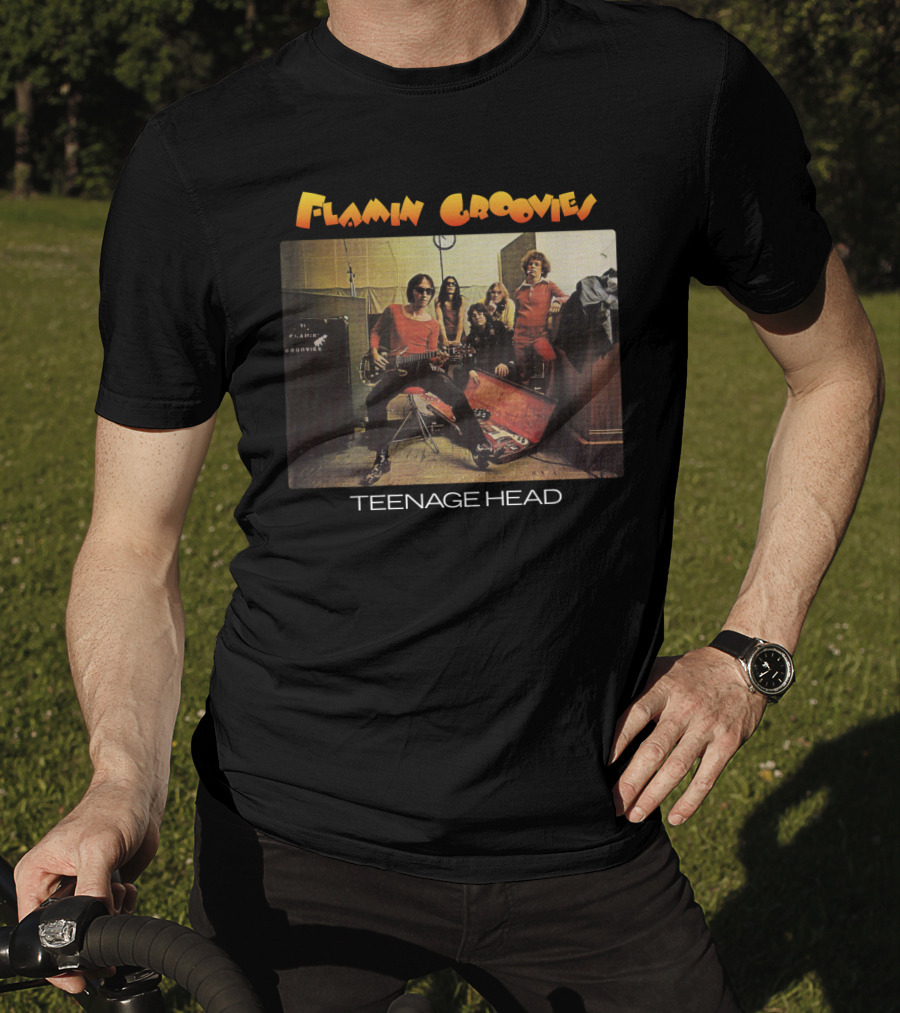 Flamin Groovies Teenage Head T-Shirt