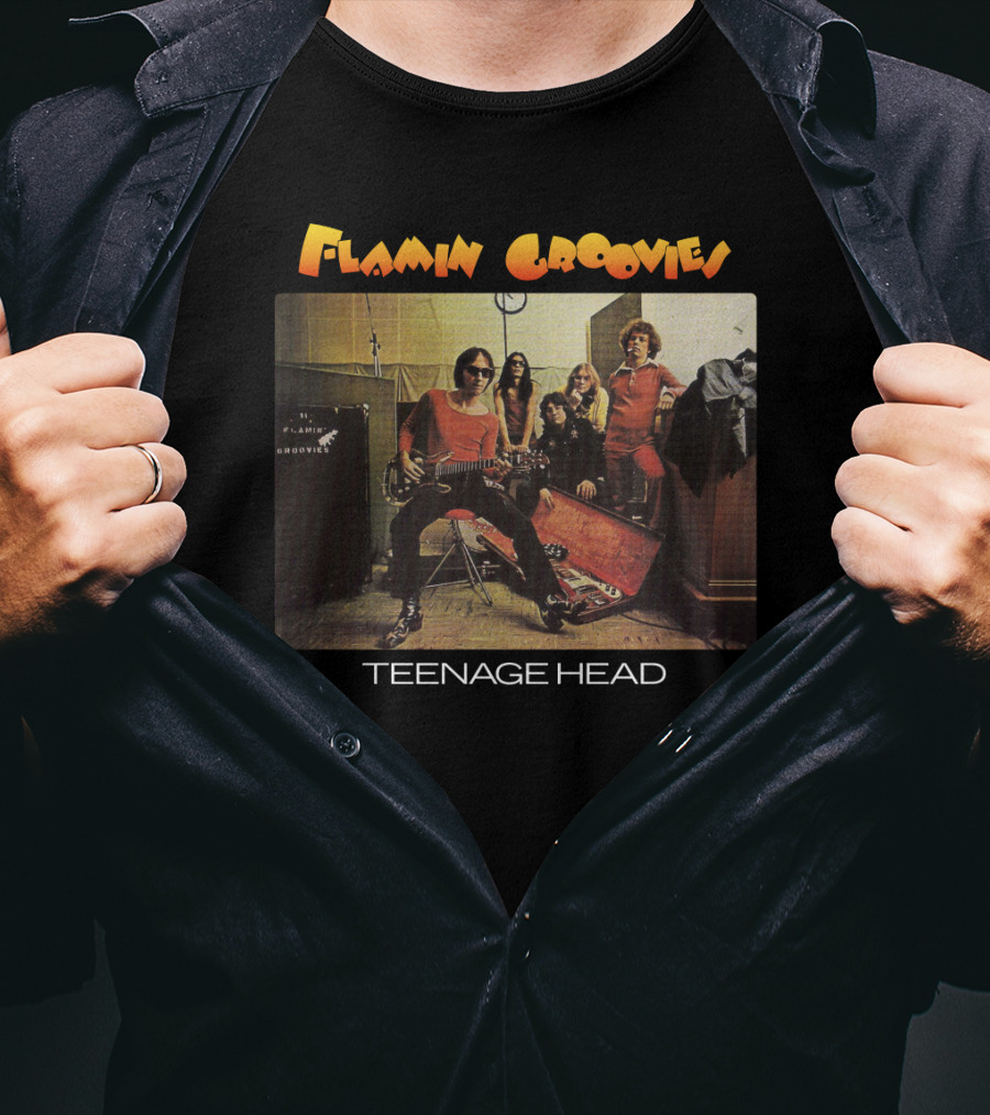 Flamin Groovies Teenage Head T-Shirt