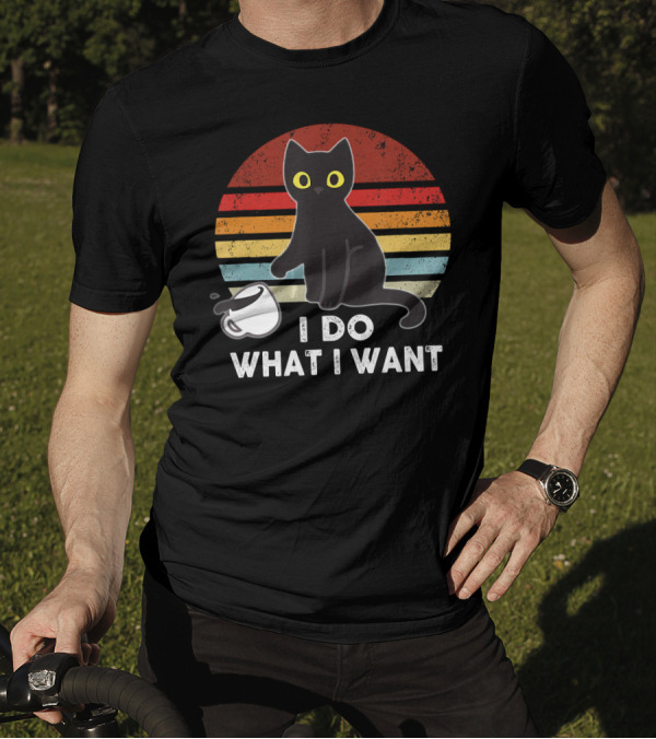 I Do What I Want Funny Cat Vintage Kitty Retro Sunburst T-Shirt