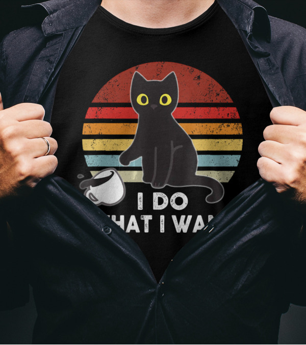 I Do What I Want Funny Cat Vintage Kitty Retro Sunburst T-Shirt