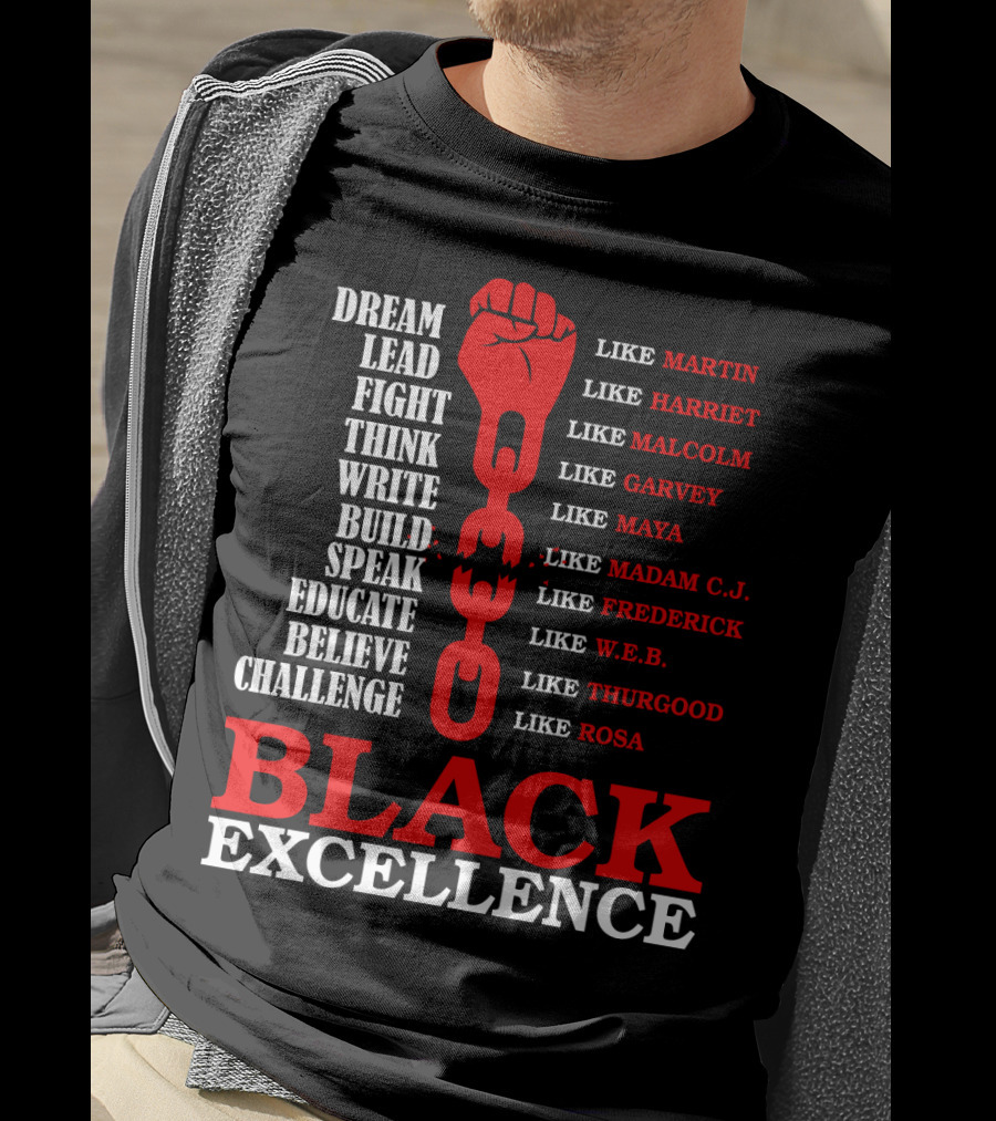 Dream Lead Fight Think Black Excellence Like Martin Like Rosa T-Shirt