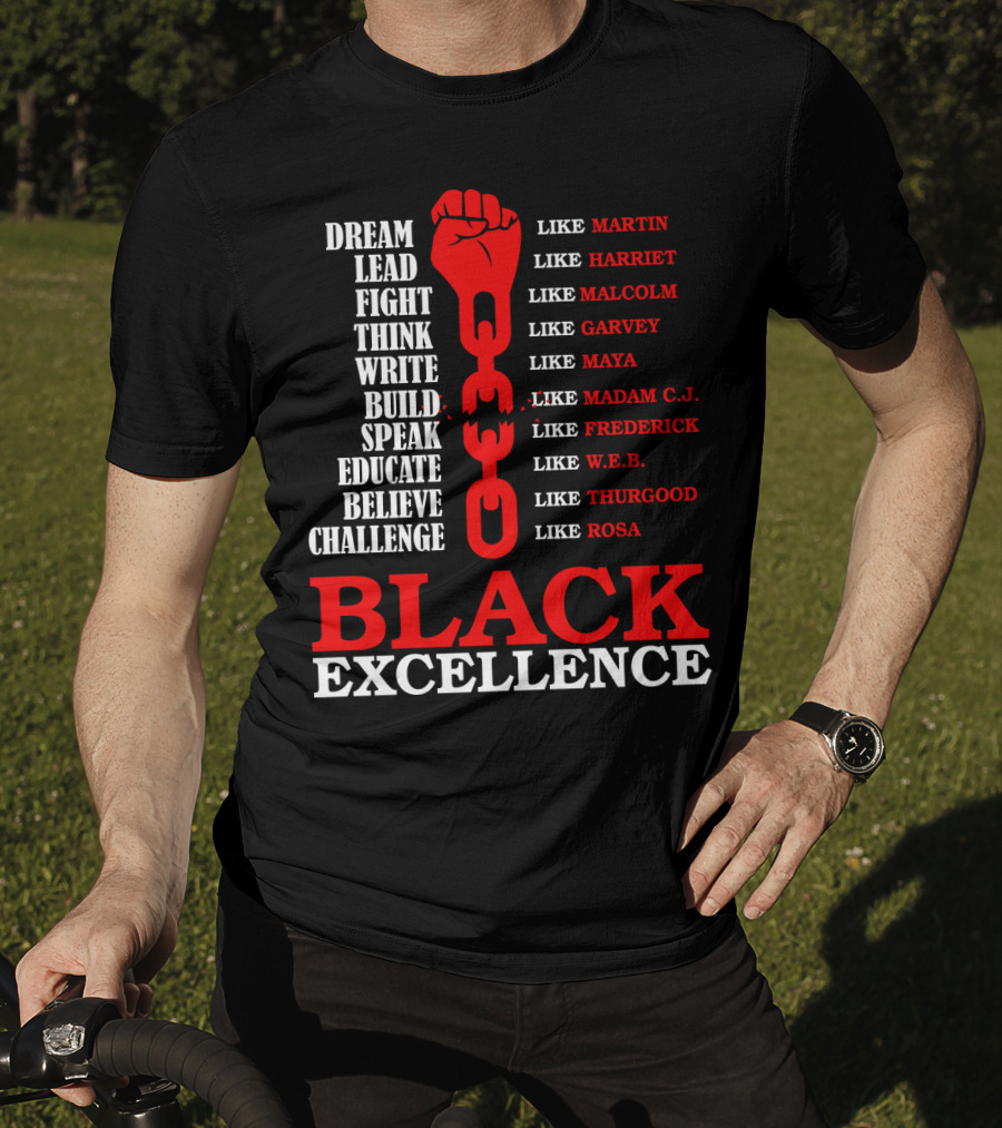 Dream Lead Fight Think Black Excellence Like Martin Like Rosa T-Shirt