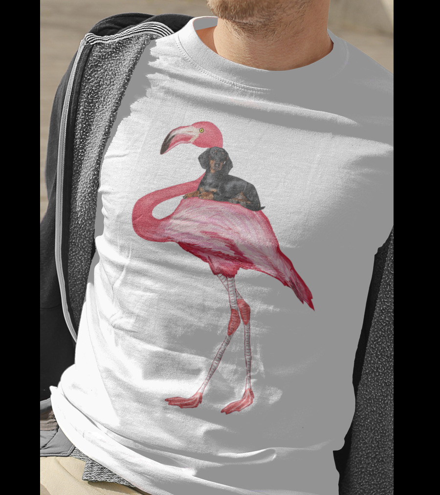 Flamingo And Dachshund Adventure T-Shirt