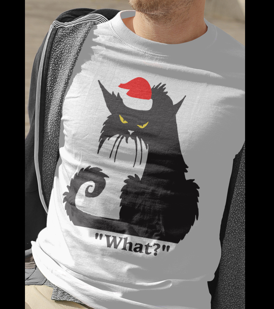What Cat With Santa Hat T-Shirt