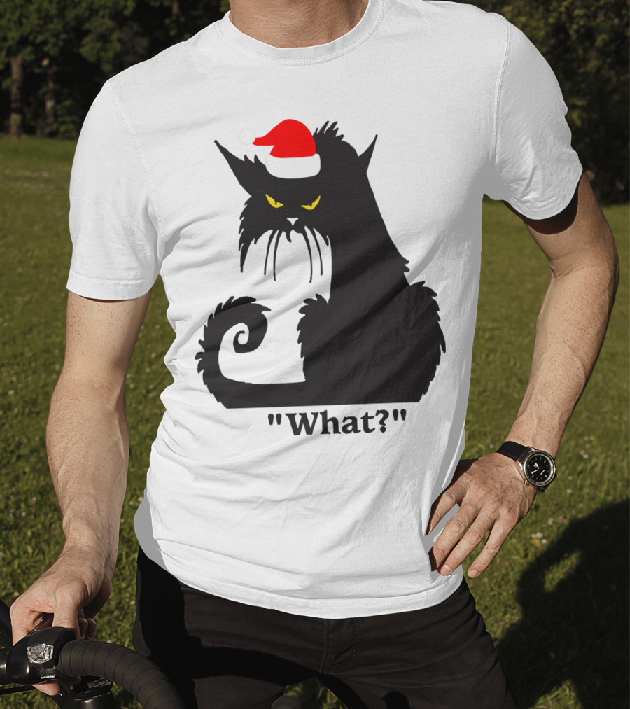 What Cat With Santa Hat T-Shirt