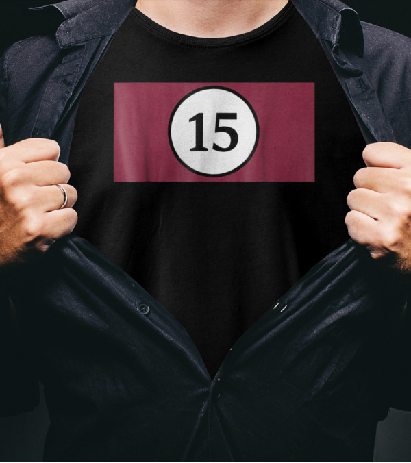 Pool 15 Ball Number Halloween Costume Group T-Shirt