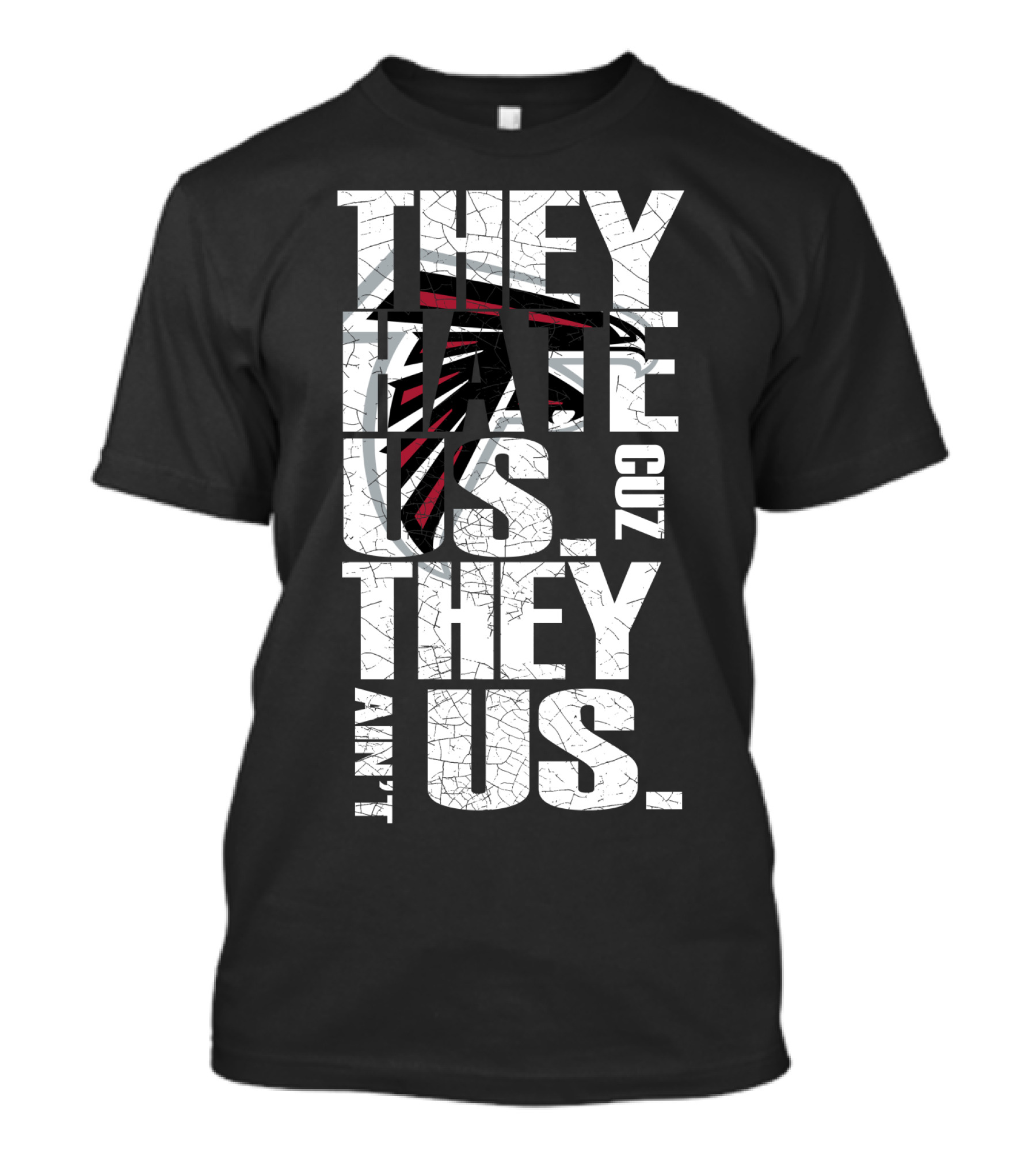 They Hate Us Cuz They Ain't Us Atlanta Falcons T-Shirt