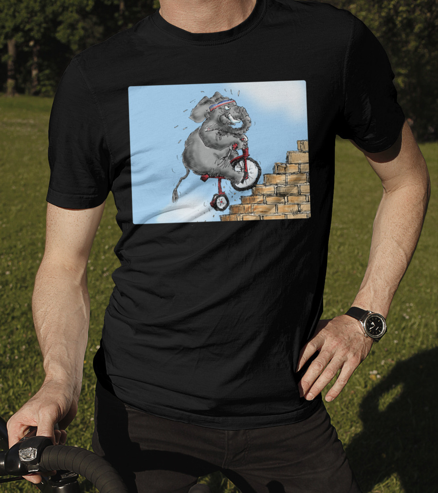 Challenge Accepted Elephant On Unicycle Climbing Stairs T-Shirt