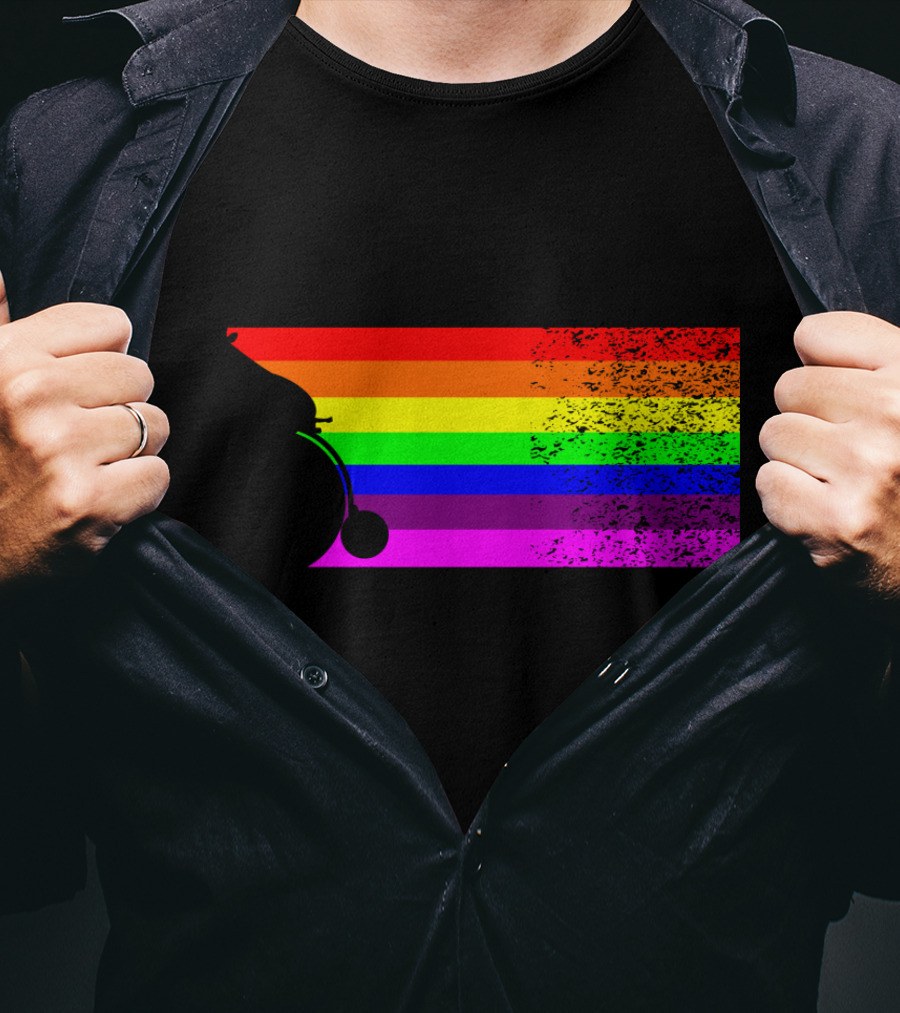 Giraffe Riding A Bike With Retro Rainbow Stripes T-Shirt