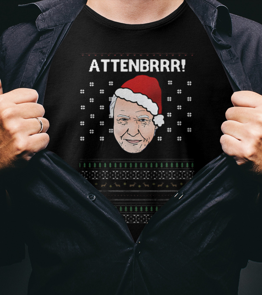 David Attenborough Attenbrrr Christmas Sweater Style Santa Hat Snowflakes T-Shirt