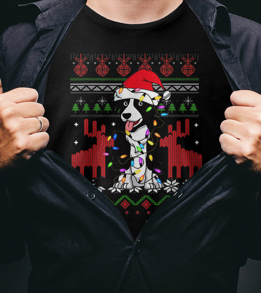 Border Collie Christmas Lights Santa Hat T-Shirt