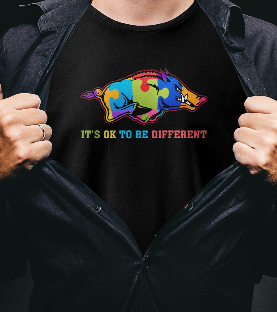It's OK To Be Different Colorful Puzzle Razorbacks T-Shirt