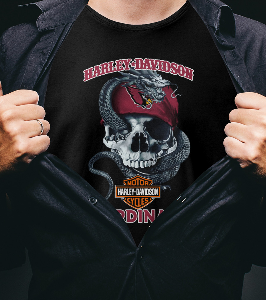 Harley Davidson Motorcycles Arizona Cardinals Skull Snake T-Shirt