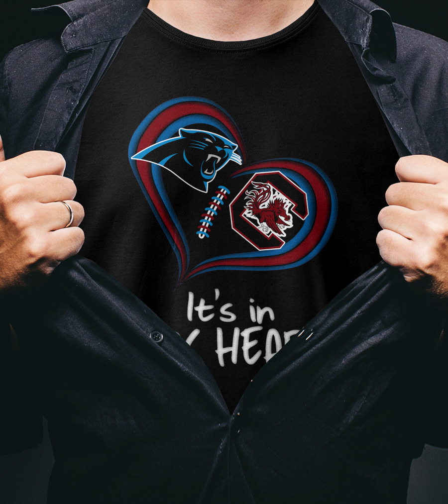 It's Panthers And Gamecocks In My Heart T-Shirt