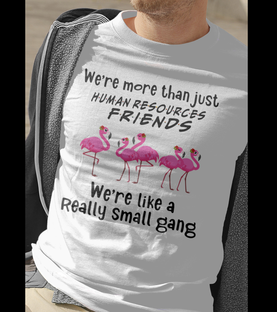 We're More Than Just Human Resources Friends We're Like A Really Small Gang With Flamingos T-Shirt