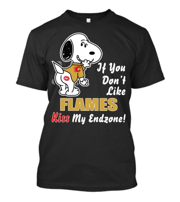 If You Don't Like Flames Kiss My Endzone T-Shirt