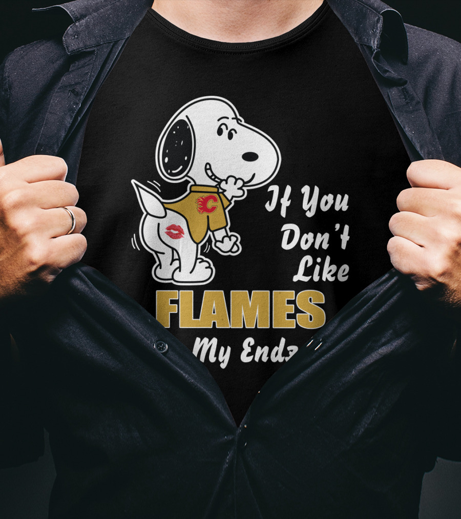 If You Don't Like Flames Kiss My Endzone T-Shirt