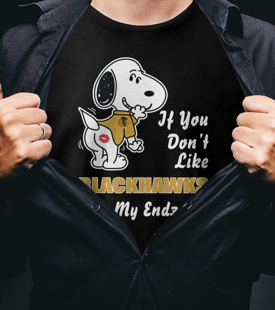 If You Don't Like Blackhawks Kiss My Endzone T-Shirt