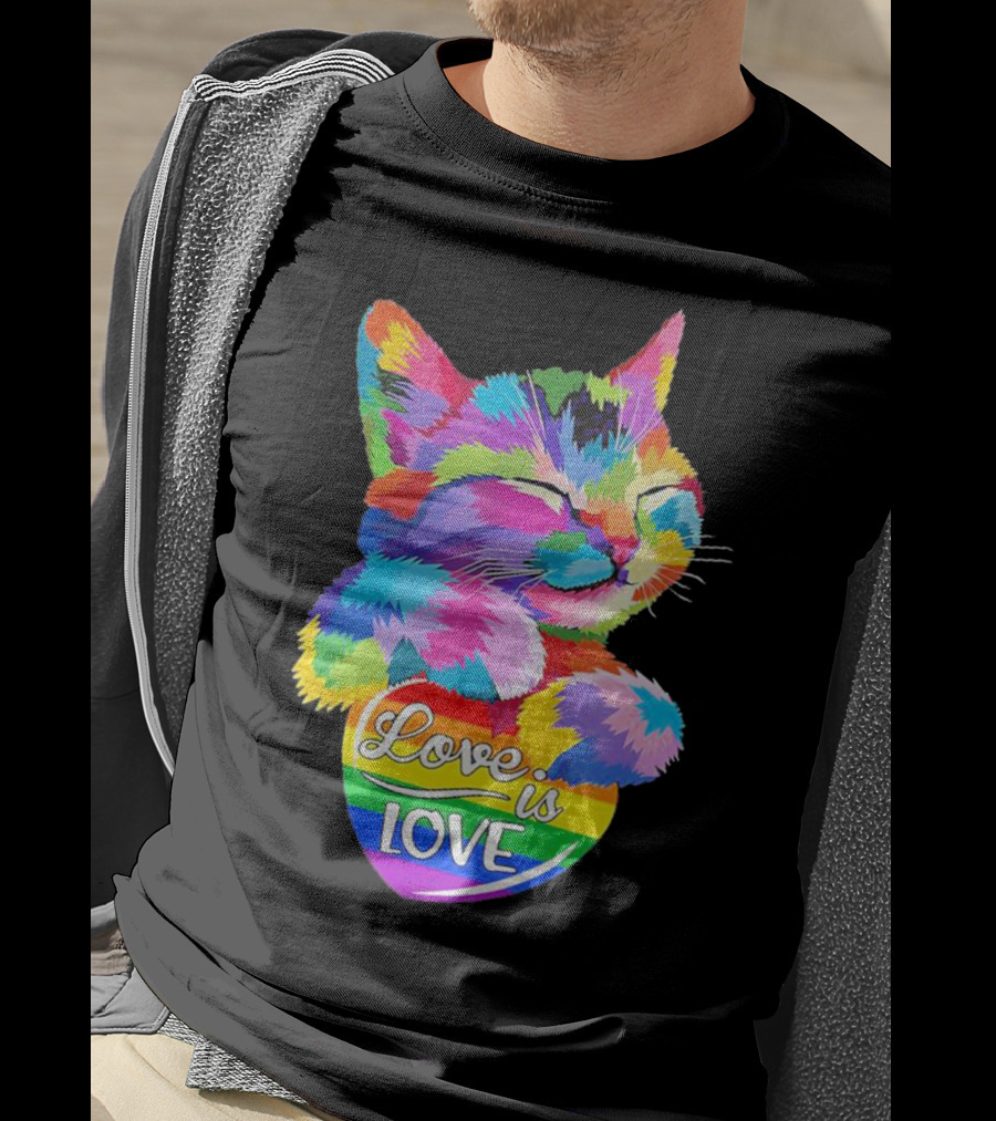Catlove Colorful Rainbow Cat Love Is Love T-Shirt