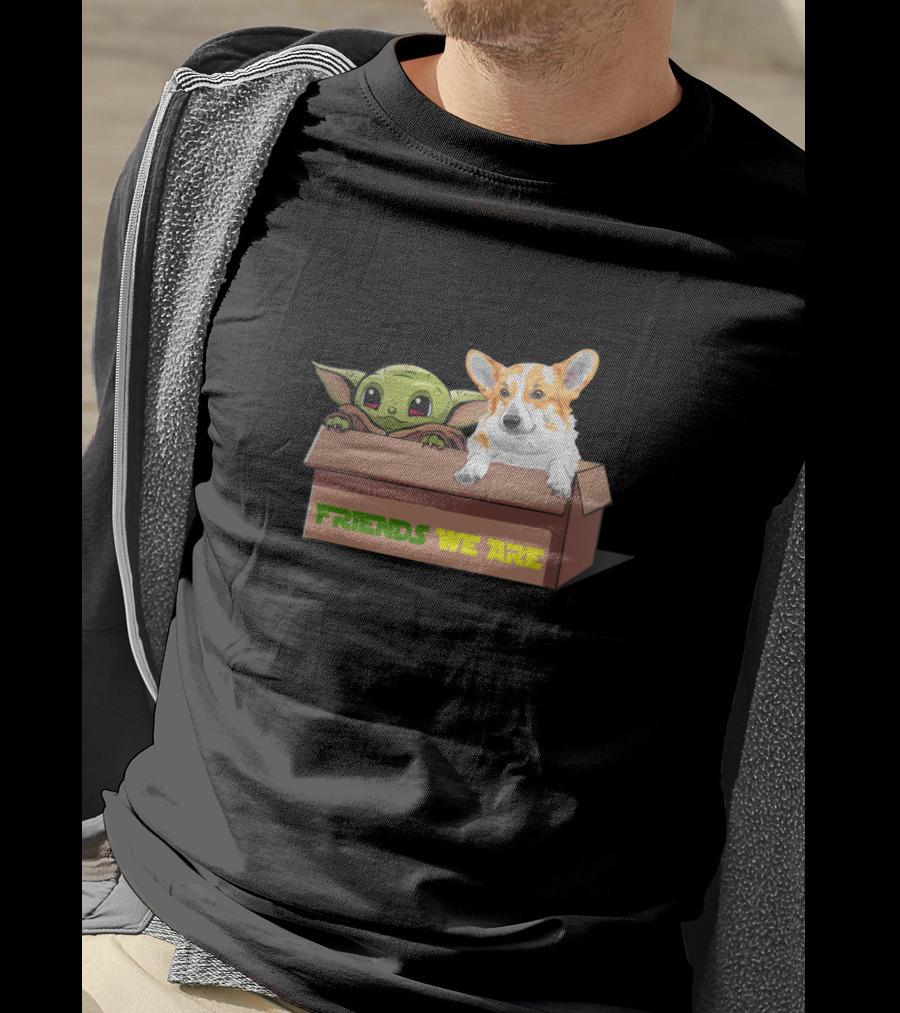 Baby Yoda Friends We Are Corgi In Box T-Shirt