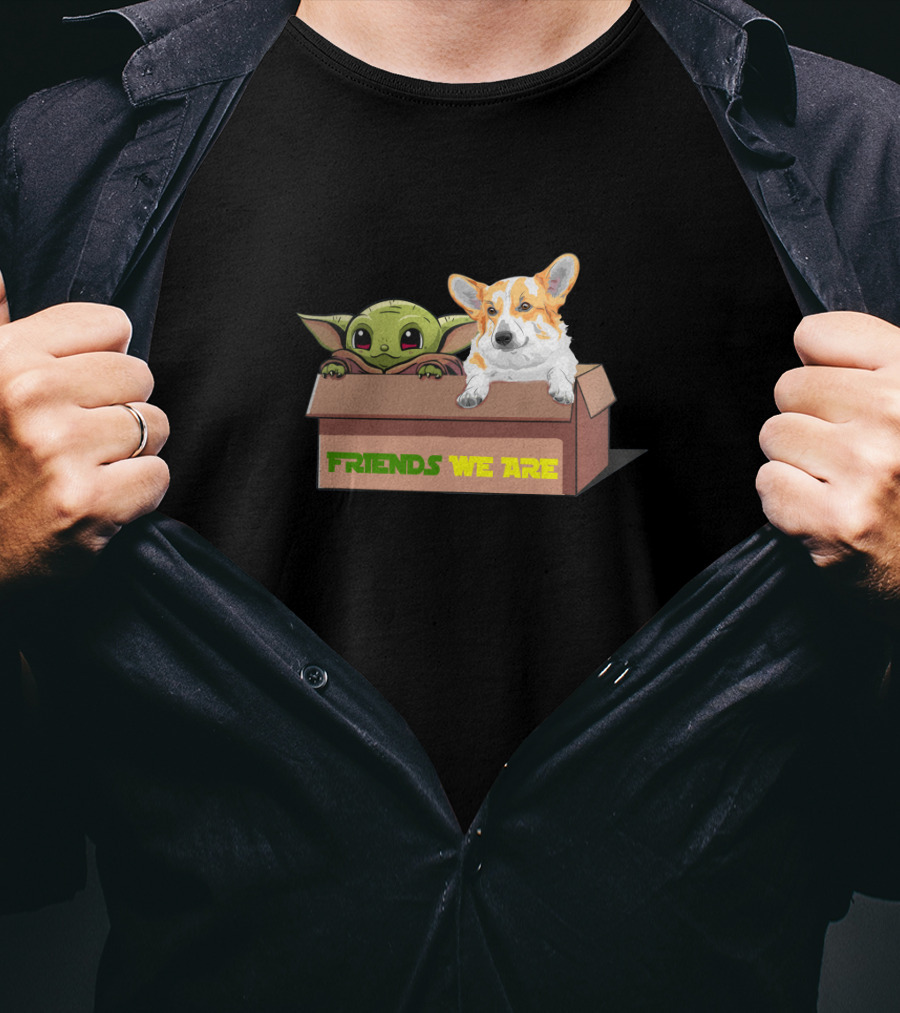 Baby Yoda Friends We Are Corgi In Box T-Shirt