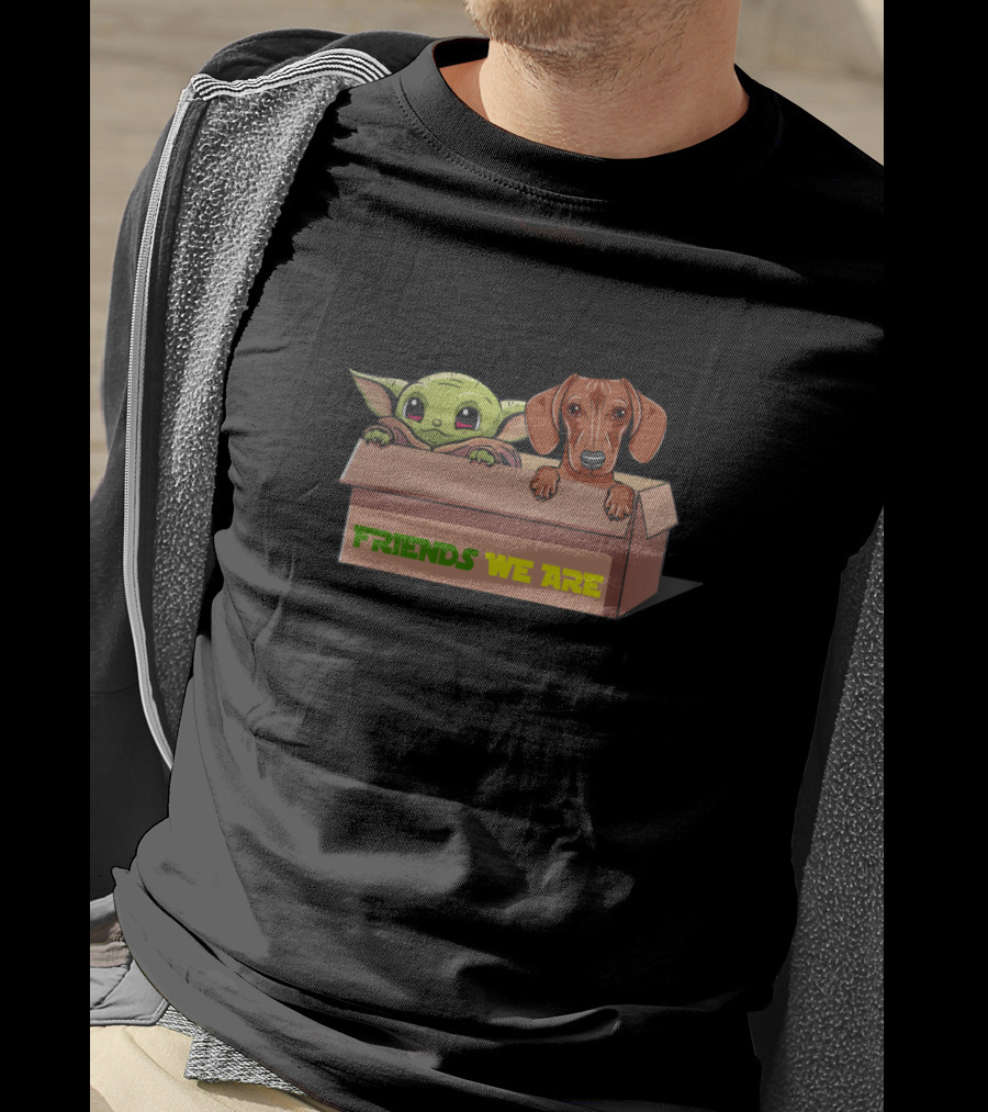 Friends We Are Baby Yoda Dachshund Box T-Shirt
