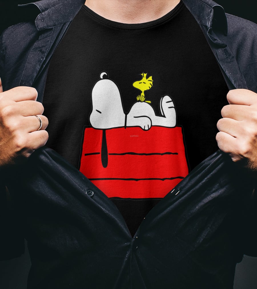 Snoopy Sleeping On Red Doghouse With Woodstock T-Shirt