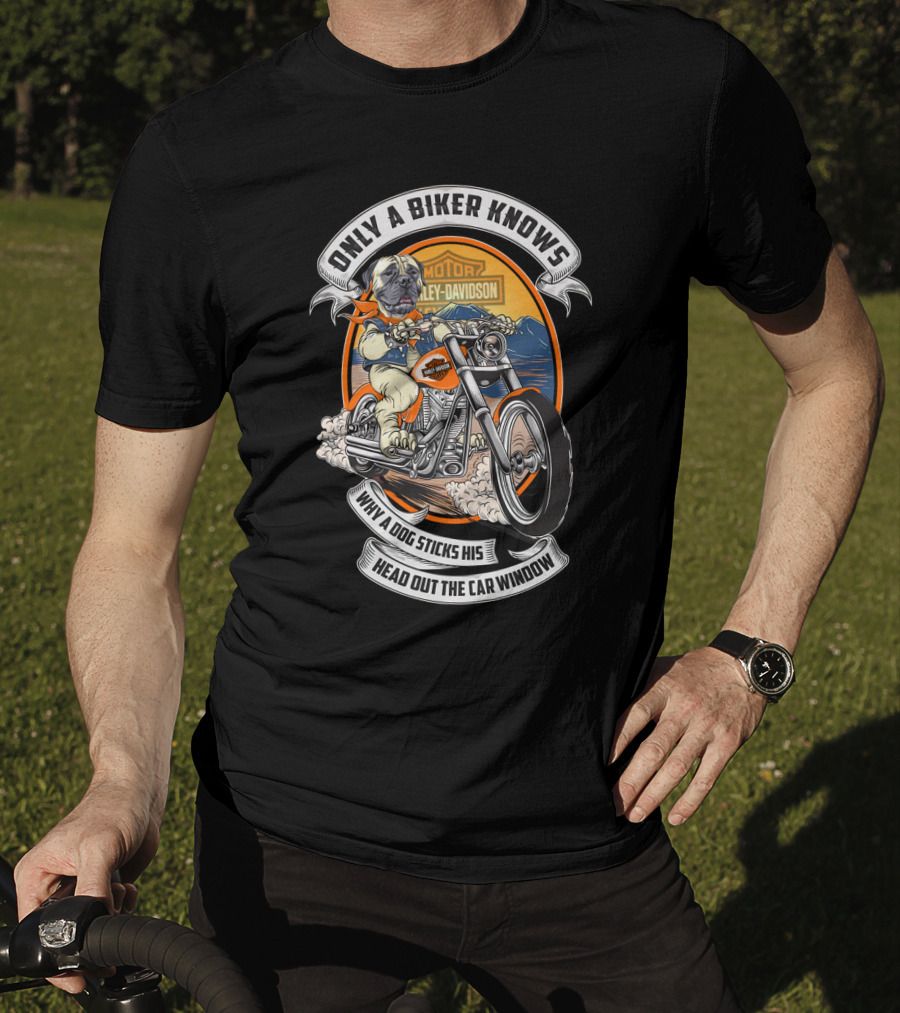 Only A Biker Knows Why A Dog Sticks His Head Out The Car Window Harley Davidson Bullmastiff T-Shirt