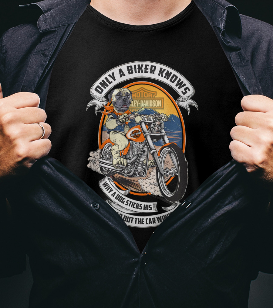 Only A Biker Knows Why A Dog Sticks His Head Out The Car Window Harley Davidson Bullmastiff T-Shirt