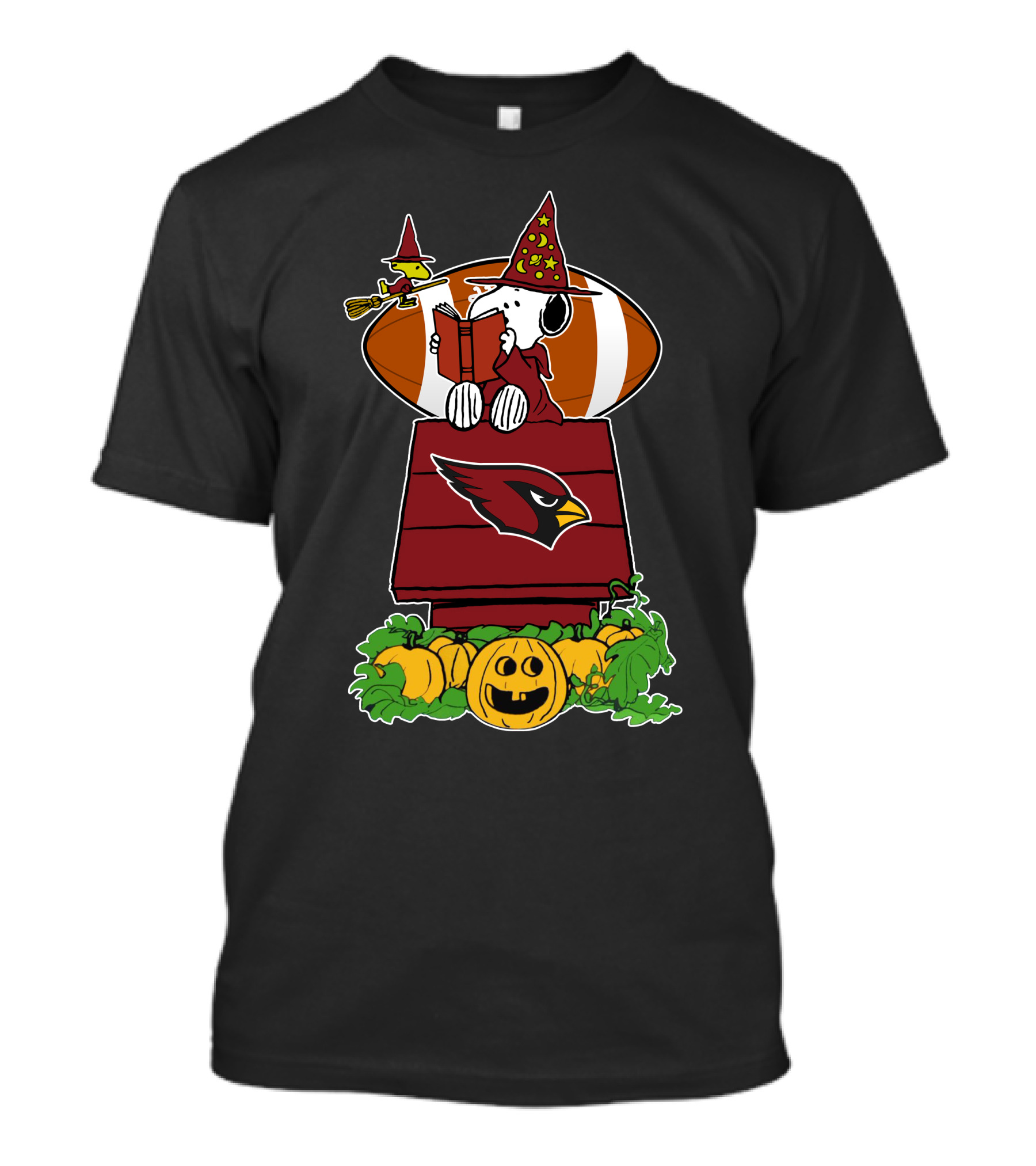 Arizona Cardinals Snoopy Halloween Football Pumpkin Scene T-Shirt